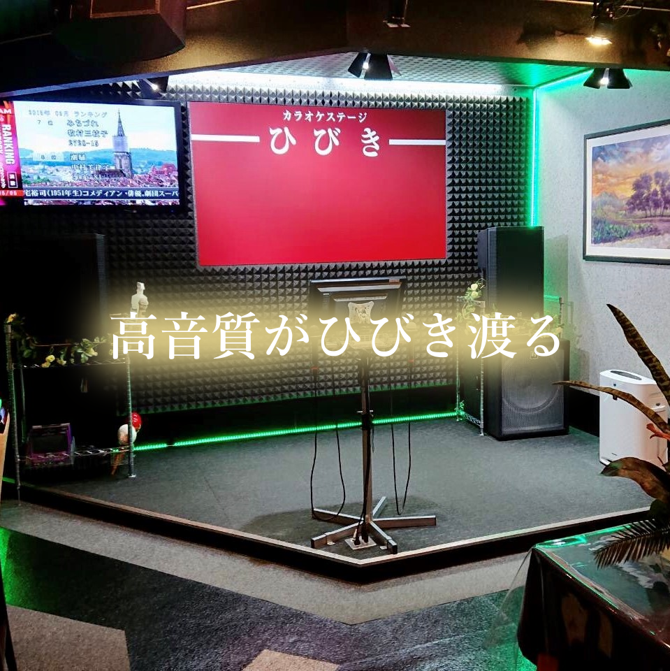 八王市のカラオケ喫茶カラオケステージひびき店内写真3